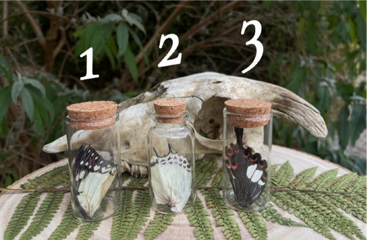 Butterfly vials