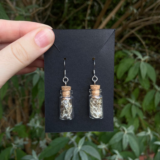 Snake Shed Earrings